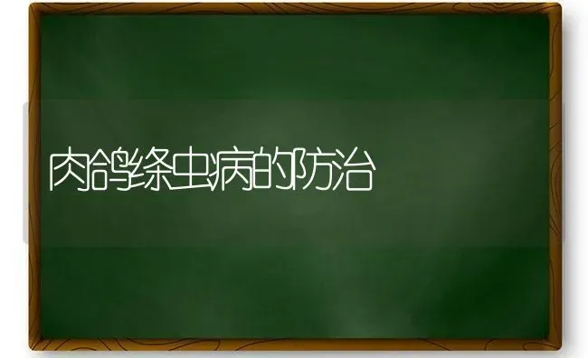 肉鸽绦虫病的防治 | 养殖技术大全