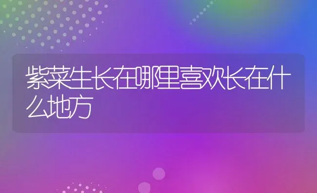 紫菜生长在哪里喜欢长在什么地方 | 养殖学堂