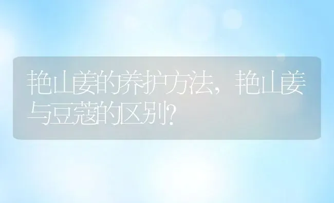 艳山姜的养护方法,艳山姜与豆蔻的区别？ | 养殖科普