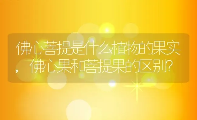 佛心菩提是什么植物的果实,佛心果和菩提果的区别？ | 养殖科普