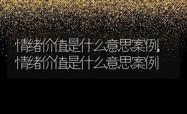 情绪价值是什么意思案例,情绪价值是什么意思案例 | 养殖科普