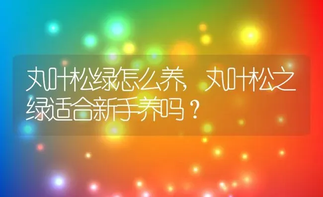 丸叶松绿怎么养,丸叶松之绿适合新手养吗？ | 养殖学堂