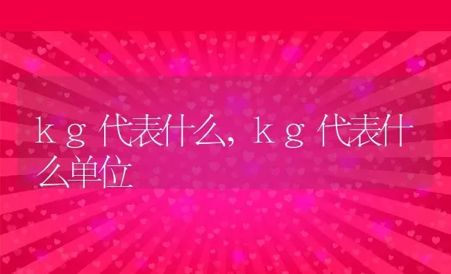 kg代表什么,kg代表什么单位 | 养殖科普