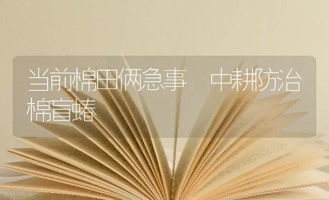 当前棉田俩急事 中耕防治棉盲蝽 | 养殖技术大全