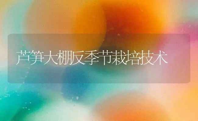 芦笋大棚反季节栽培技术 | 养殖知识