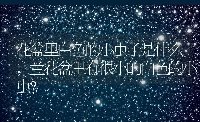 花盆里白色的小虫子是什么,兰花盆里有很小的白色的小虫？ | 养殖科普