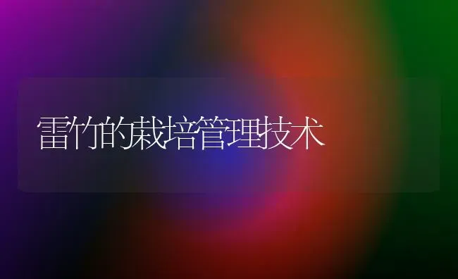 雷竹的栽培管理技术 | 养殖技术大全