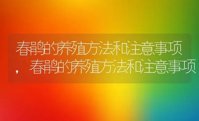 春鹃的养殖方法和注意事项,春鹃的养殖方法和注意事项 | 养殖科普