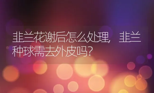 韭兰花谢后怎么处理,韭兰种球需去外皮吗？ | 养殖科普