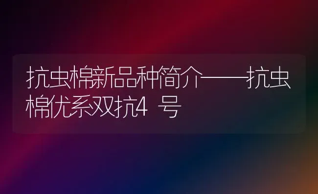 抗虫棉新品种简介——抗虫棉优系双抗4号 | 养殖技术大全