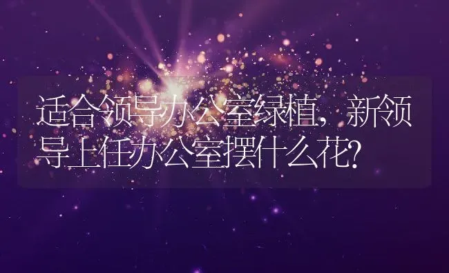 适合领导办公室绿植,新领导上任办公室摆什么花？ | 养殖科普