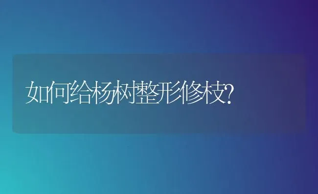 如何给杨树整形修枝? | 养殖技术大全