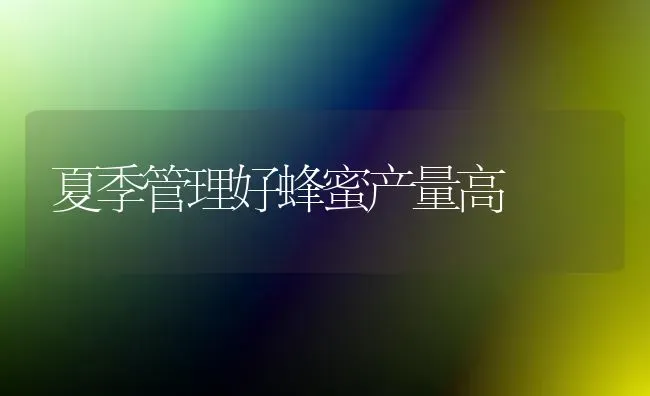 夏季管理好蜂蜜产量高 | 养殖技术大全