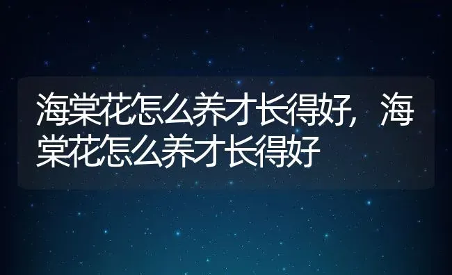 海棠花怎么养才长得好,海棠花怎么养才长得好 | 养殖科普