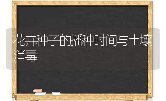 花卉种子的播种时间与土壤消毒 | 养殖技术大全