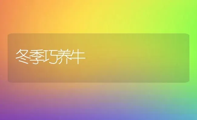 冬季巧养牛 | 养殖技术大全