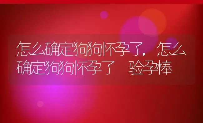 怎么确定狗狗怀孕了,怎么确定狗狗怀孕了 验孕棒 | 养殖科普