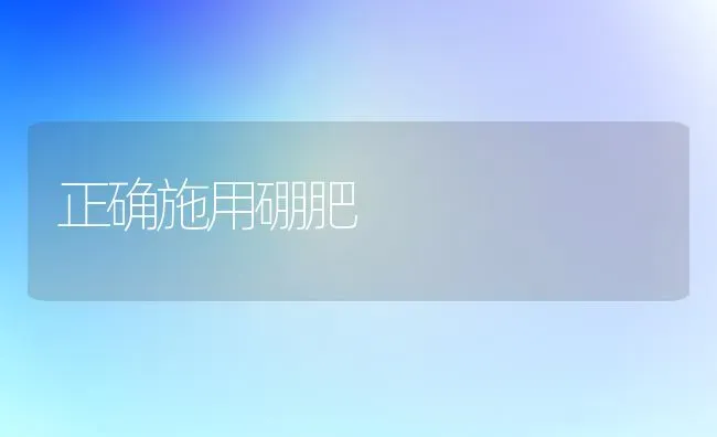 正确施用硼肥 | 养殖技术大全