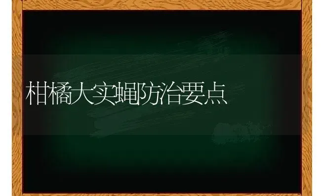 柑橘大实蝇防治要点 | 养殖知识