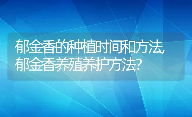 郁金香的种植时间和方法,郁金香养殖养护方法？ | 养殖科普