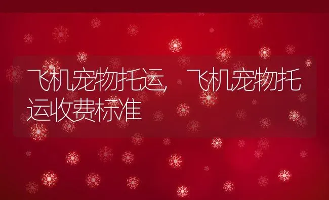 飞机宠物托运,飞机宠物托运收费标准 | 养殖科普