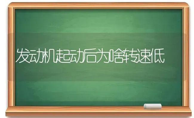 发动机起动后为啥转速低 | 养殖知识