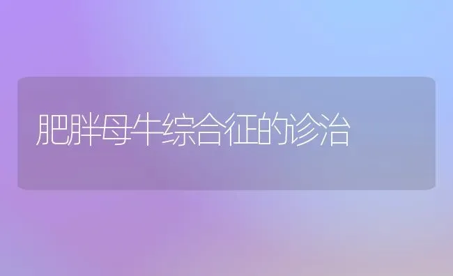 肥胖母牛综合征的诊治 | 养殖知识