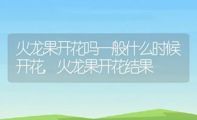 火龙果开花吗一般什么时候开花,火龙果开花结果 | 养殖学堂
