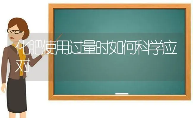 化肥使用过量时如何科学应对 | 养殖技术大全