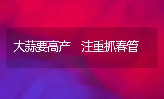 大蒜要高产 注重抓春管 | 养殖知识