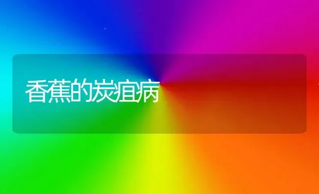 香蕉的炭疽病 | 养殖知识
