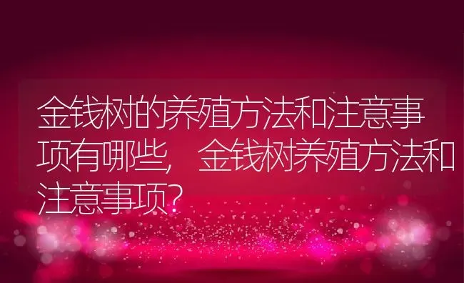 金钱树的养殖方法和注意事项有哪些,金钱树养殖方法和注意事项？ | 养殖科普