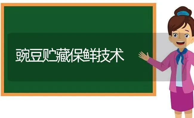 豌豆贮藏保鲜技术 | 养殖知识