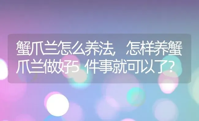 蟹爪兰怎么养法,怎样养蟹爪兰做好5件事就可以了？ | 养殖学堂