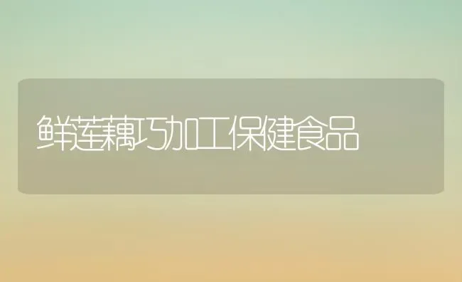 鲜莲藕巧加工保健食品 | 养殖技术大全