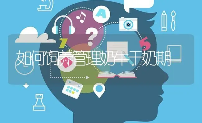 如何饲养管理奶牛干奶期 | 养殖知识