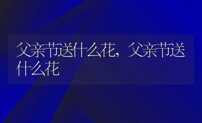 父亲节送什么花,父亲节送什么花 | 养殖科普