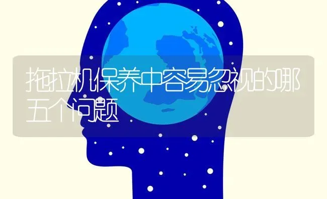 拖拉机保养中容易忽视的哪五个问题 | 养殖知识