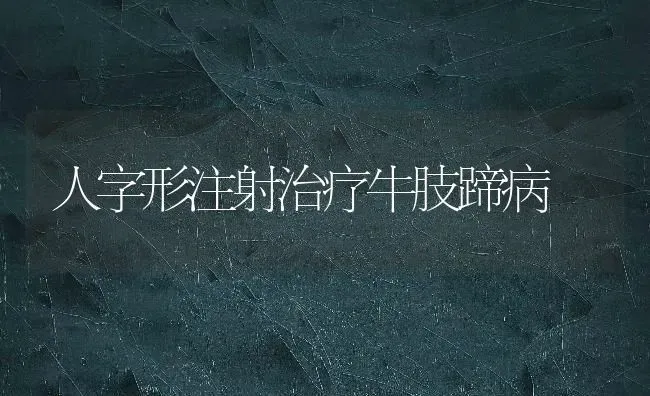 人字形注射治疗牛肢蹄病 | 养殖技术大全