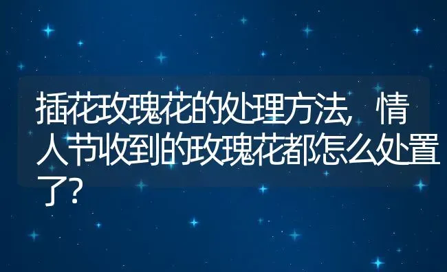 插花玫瑰花的处理方法,情人节收到的玫瑰花都怎么处置了？ | 养殖科普