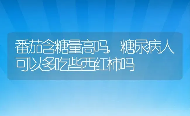 番茄含糖量高吗,糖尿病人可以多吃些西红柿吗 | 养殖科普