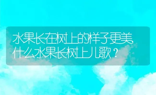 水果长在树上的样子更美,什么水果长树上儿歌？ | 养殖科普