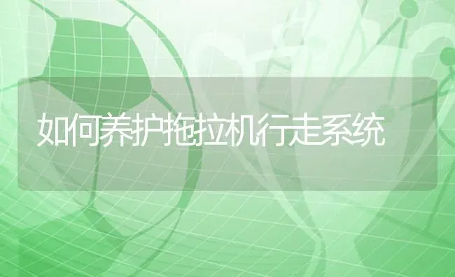 如何养护拖拉机行走系统 | 养殖知识