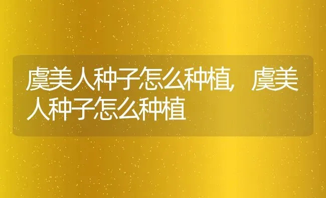 虞美人种子怎么种植,虞美人种子怎么种植 | 养殖科普