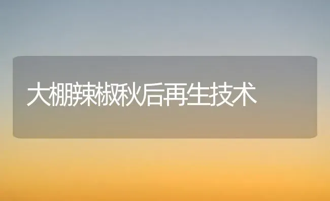 大棚辣椒秋后再生技术 | 养殖知识