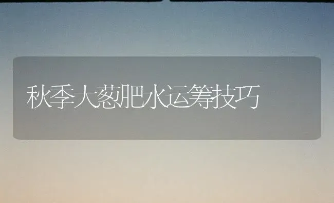 秋季大葱肥水运筹技巧 | 养殖技术大全