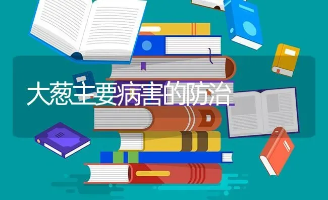 大葱主要病害的防治 | 养殖技术大全