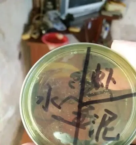 菌克A380治疗弧菌引起的南美白对虾黑斑病一例 | 生活妙招