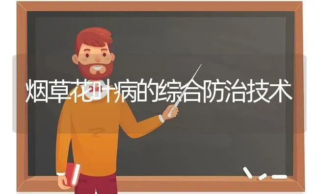 烟草花叶病的综合防治技术 | 养殖技术大全