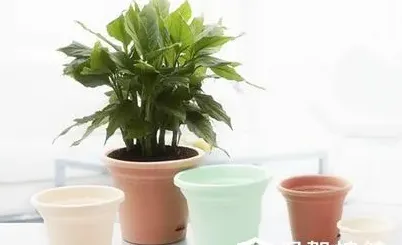 养花用什么花盆最好,花盆圆形好还是方形好？
